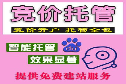 SEM专员在移动端广告的投放策略及案例
